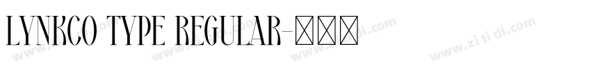 Lynkco Type Regular字体转换